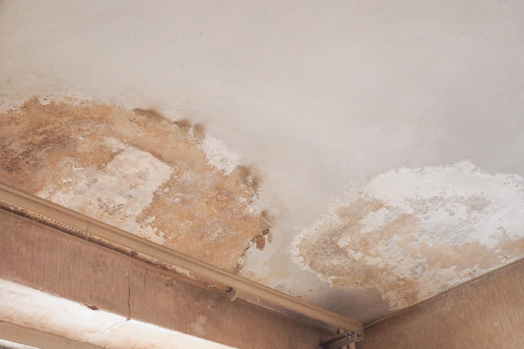 what are the different types of damp