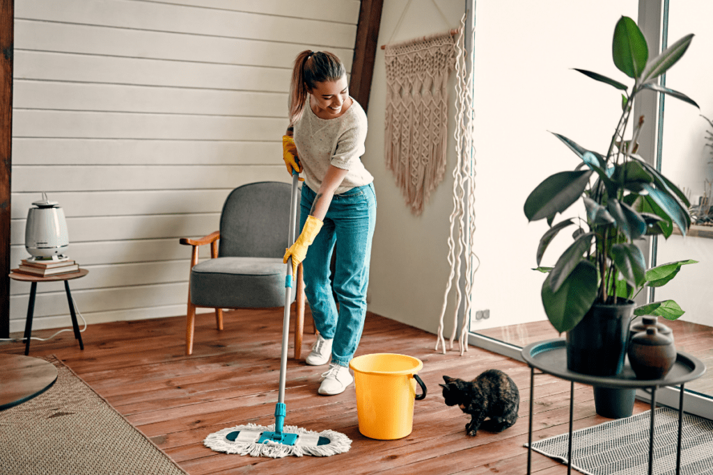 Tips To Get Your Home Ready For A Survey